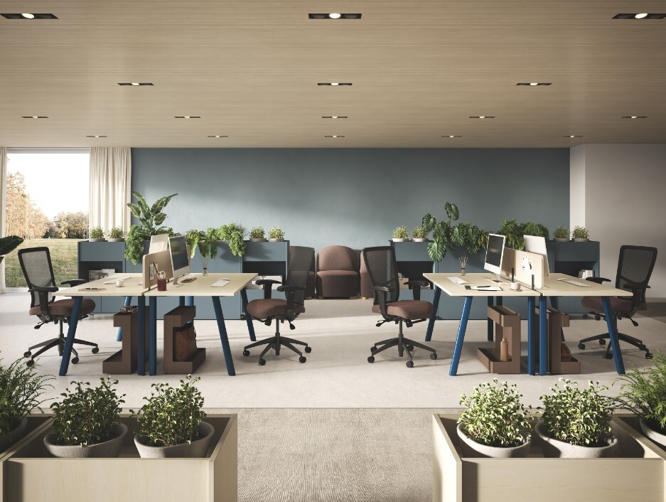 aménagement_pacifica aménagement_pacifica